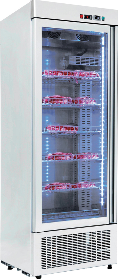 Gtech DR6-G Dry Age Dik Tip Dry Age Buzdolabı 1 Cam Kapılı(Paslanmaz)